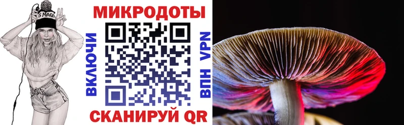 Галлюциногенные грибы Psilocybe Канаш