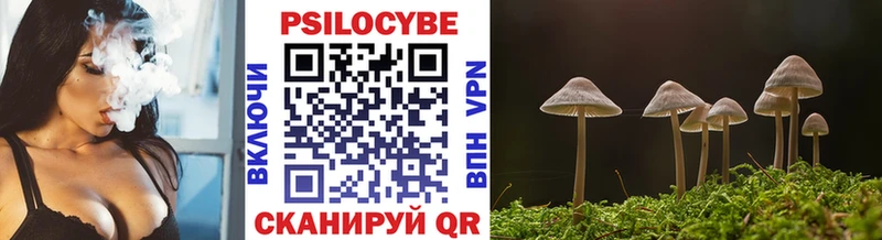 Галлюциногенные грибы Magic Shrooms мега это какой сайт как найти закладки Канаш